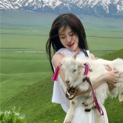 新封神姜子牙
